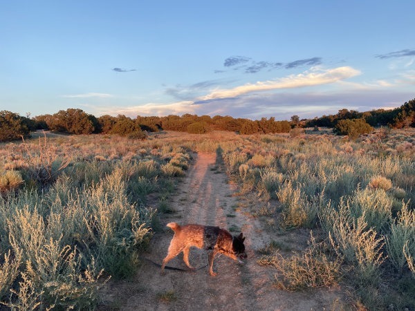 Healing Intensives in Santa Fe NM